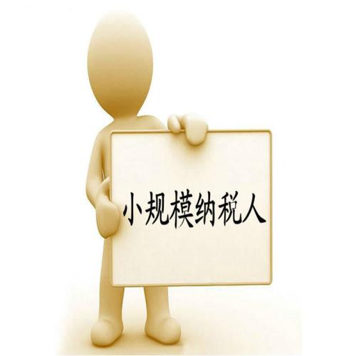 小规模登记成一般人将在网上办理，截止日期是2018.11.20前