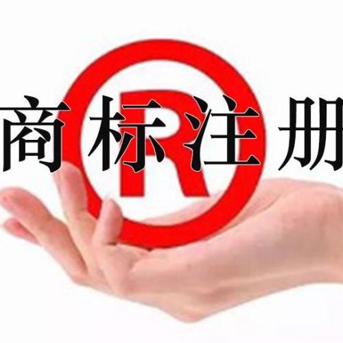 图形商标有那些使用特点和表现形式？